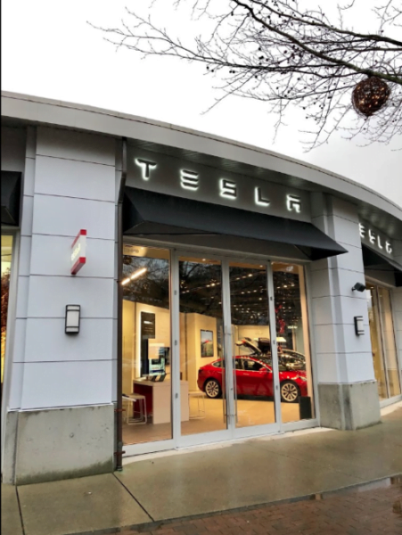 Tesla park live